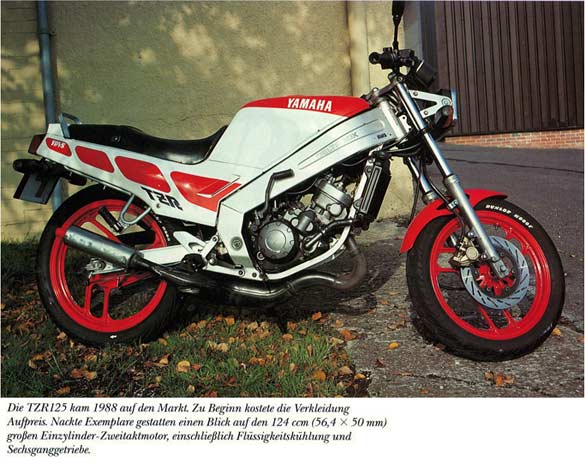 tzr125_88_nackt_gr.jpg