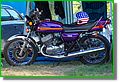DSC07495_1.JPG