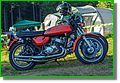 DSC07507_1.JPG