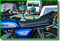 DSC07513_1.JPG