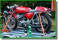 DSC07516_1.JPG