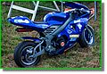 DSC07534_1.JPG